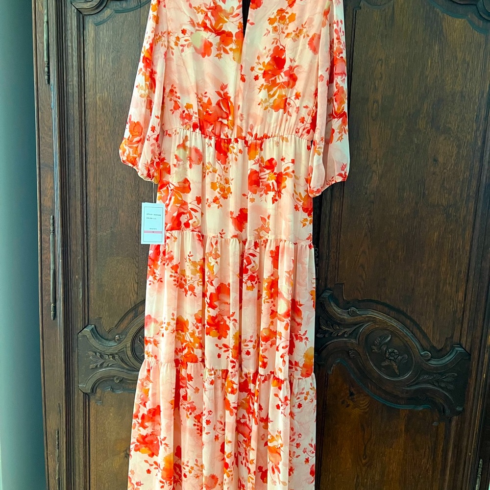 Romantic long dress NWT - Picture 2 of 2